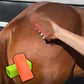 🐴 50% RABATT! ✨ Hästpälsblock – Effektivt Pälsborttagningsverktyg, Skonsamt Mot Pälsen & Perfekt För Djuptuggning 🧤
