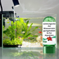 🐠 KÖP 1 FÅ 1 GRATIS! 💦 Akvarievattenreningstablett – Eliminerar Orenheter, Balanserar pH & Säker för Fisk 🧪