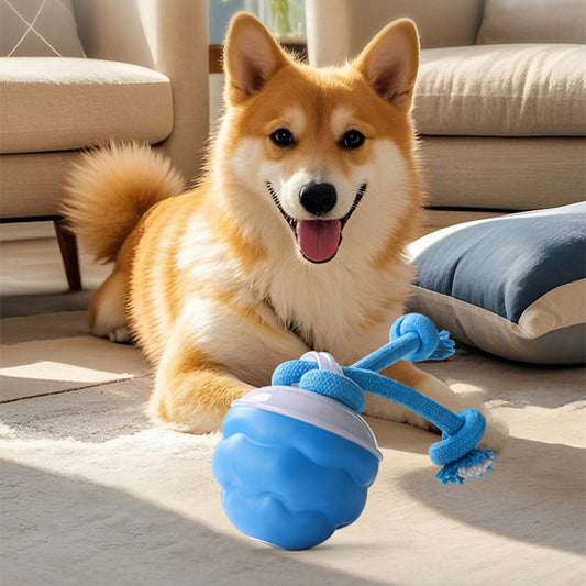 🐾 50% RABATT! 🎾 Interaktiv Elektronisk Boll för Husdjur – Automatisk Rörelse, Tuggmotståndskraftig & Lugnande för Katter/Hundar 🐱🐶📦