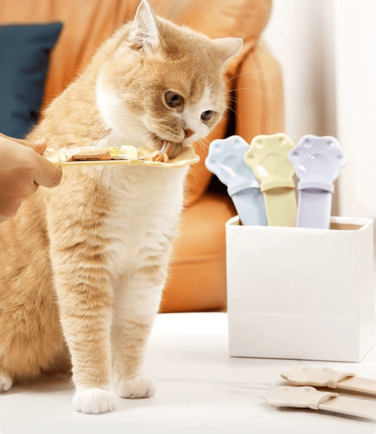 Kattmat Sked — Lämplig för kattsnack