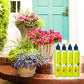 🌱 KÖP 1, FÅ 1 GRATIS! 🏡 Universalt Växtnäring – för Inomhus & Utomhus, Lättanvänt & Effektivt Resultat ✨