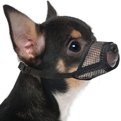 🐕 50% RABATT! 🕸️ Andningsbart nätkorg för små hundraser – Lättvikt & säker – Ventilerande mesh, justerbar axelrem – perfekt för resor, shopping eller dagliga promenader – håller hunden sval och bekväm 🌿