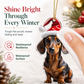 🎄【7 Stück】🐕 Christbaumschmuck in Welpenform