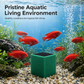 🐠 50 % RABATT!  Aktivkohle-Filterwürfel für Aquarien – Wabenstruktur für kristallklares Wasser & Geruchsneutralisierung 🌿